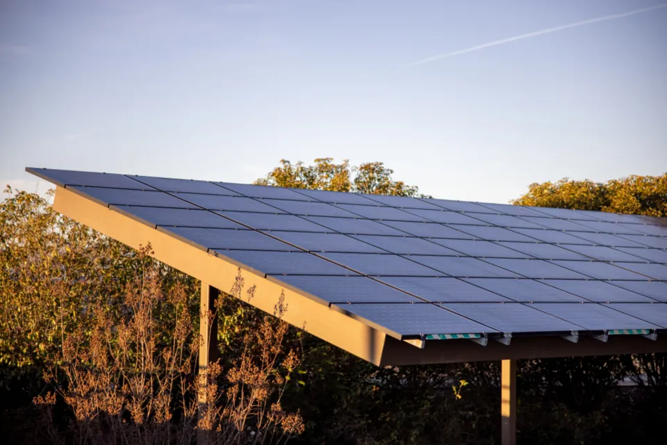 Large raised solar array on a timber frame surrounded by trees
